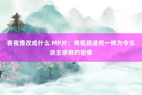 夜夜撸改成什么 MP片：将视频遽然一样为令东谈主感触的图像