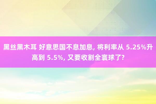 黑丝黑木耳 好意思国不息加息， 将利率从 5.25%升高到 5.5%， 又要收割全寰球了?