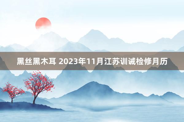 黑丝黑木耳 2023年11月江苏训诫检修月历