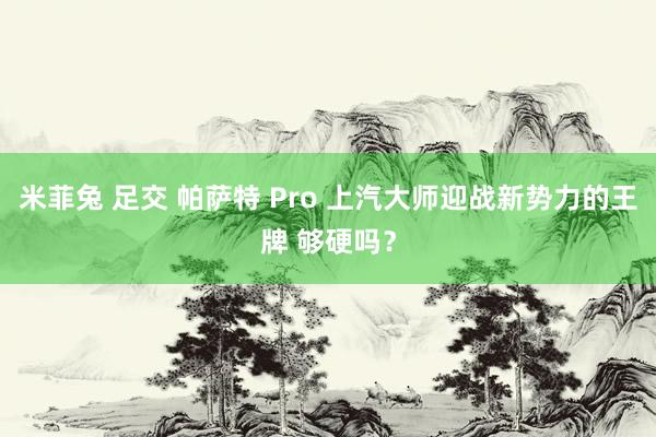 米菲兔 足交 帕萨特 Pro 上汽大师迎战新势力的王牌 够硬吗？