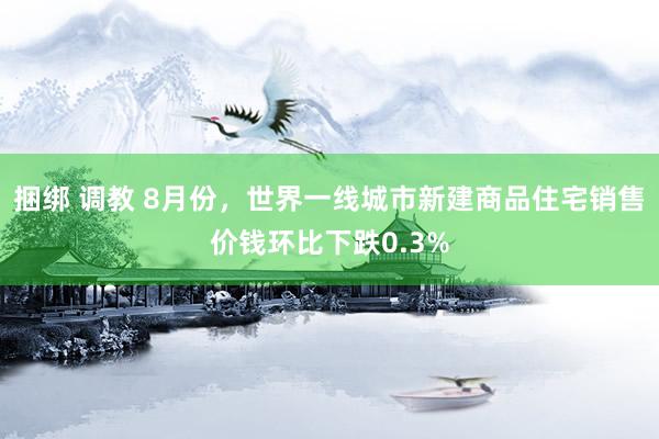 捆绑 调教 8月份，世界一线城市新建商品住宅销售价钱环比下跌0.3%