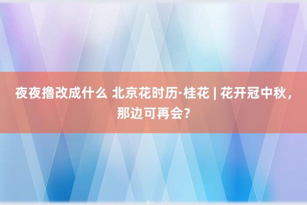 夜夜撸改成什么 北京花时历·桂花 | 花开冠中秋，那边可再会？