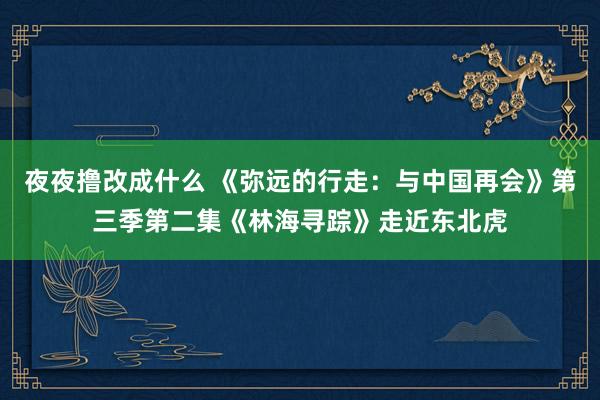 夜夜撸改成什么 《弥远的行走：与中国再会》第三季第二集《林海寻踪》走近东北虎