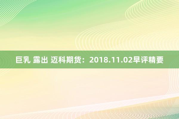 巨乳 露出 迈科期货：2018.11.02早评精要