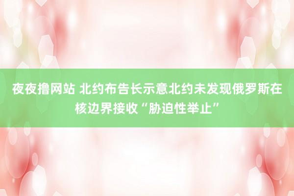 夜夜撸网站 北约布告长示意北约未发现俄罗斯在核边界接收“胁迫性举止”