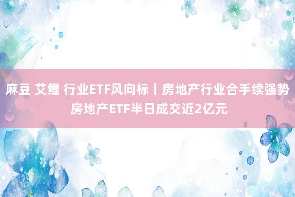 麻豆 艾鲤 行业ETF风向标丨房地产行业合手续强势 房地产ETF半日成交近2亿元