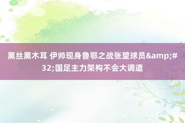 黑丝黑木耳 伊帅现身鲁鄂之战张望球员&#32;国足主力架构不会大调遣