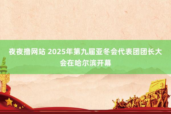 夜夜撸网站 2025年第九届亚冬会代表团团长大会在哈尔滨开幕