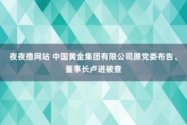 夜夜撸网站 中国黄金集团有限公司原党委布告、董事长卢进被查