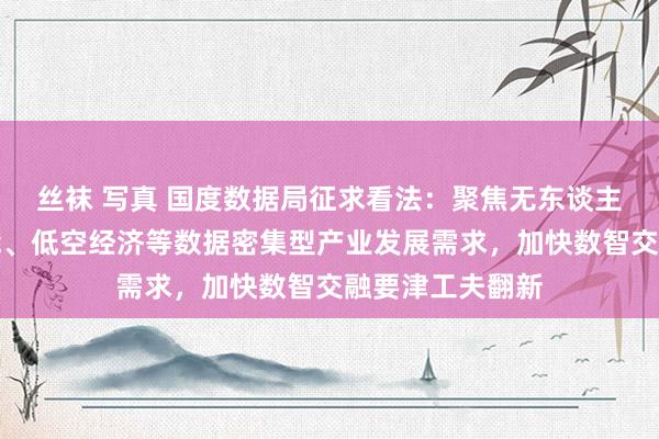 丝袜 写真 国度数据局征求看法：聚焦无东谈主驾驶、具身智能、低空经济等数据密集型产业发展需求，加快数智交融要津工夫翻新