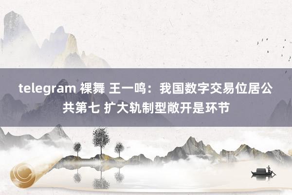 telegram 裸舞 王一鸣：我国数字交易位居公共第七 扩大轨制型敞开是环节