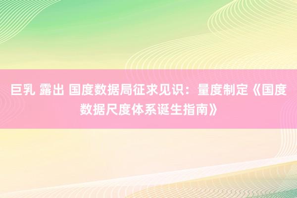 巨乳 露出 国度数据局征求见识：量度制定《国度数据尺度体系诞生指南》