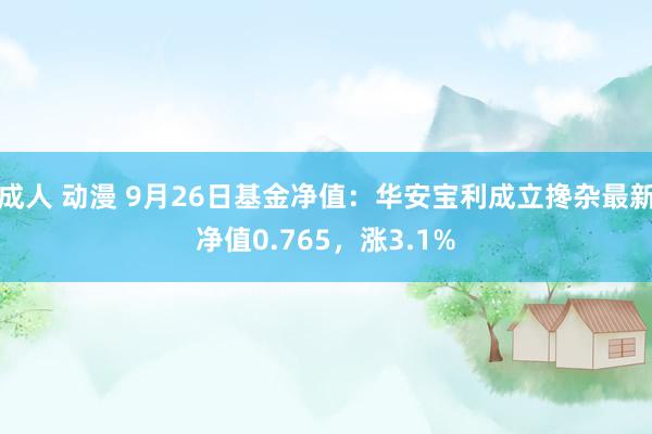 成人 动漫 9月26日基金净值：华安宝利成立搀杂最新净值0.765，涨3.1%