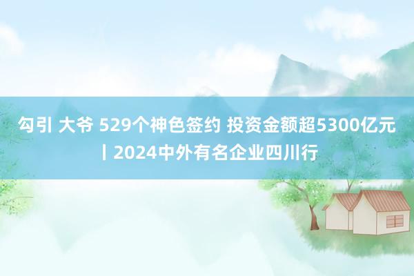 勾引 大爷 529个神色签约 投资金额超5300亿元丨2024中外有名企业四川行