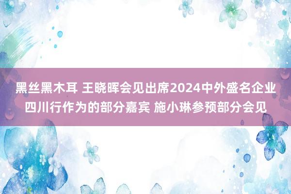 黑丝黑木耳 王晓晖会见出席2024中外盛名企业四川行作为的部分嘉宾 施小琳参预部分会见