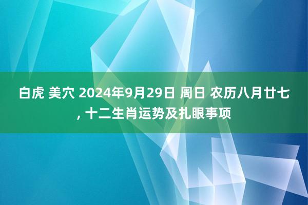 白虎 美穴 2024年9月29日 周日 农历八月廿七， 十二生肖运势及扎眼事项