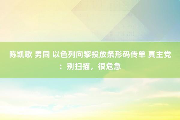 陈凯歌 男同 以色列向黎投放条形码传单 真主党：别扫描，很危急