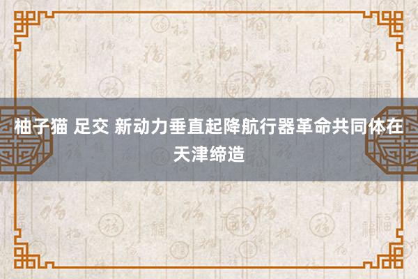 柚子猫 足交 新动力垂直起降航行器革命共同体在天津缔造