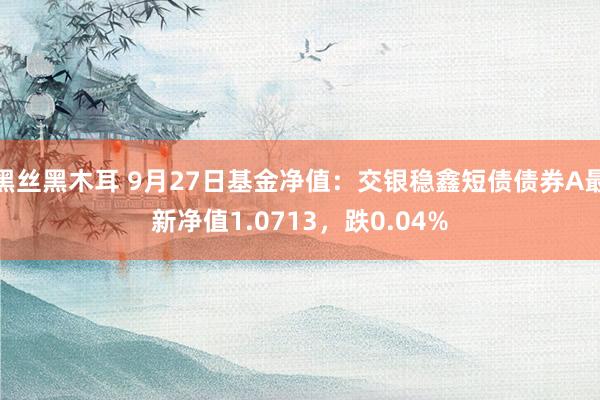 黑丝黑木耳 9月27日基金净值：交银稳鑫短债债券A最新净值1.0713，跌0.04%