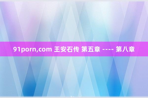 91porn，com 王安石传 第五章 ---- 第八章