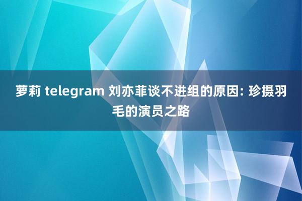 萝莉 telegram 刘亦菲谈不进组的原因: 珍摄羽毛的演员之路