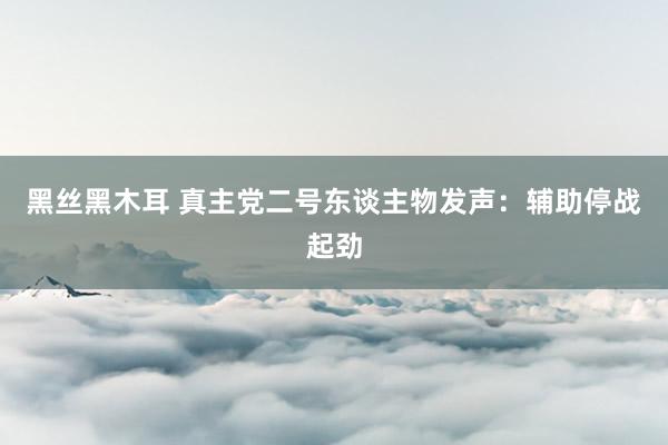 黑丝黑木耳 真主党二号东谈主物发声：辅助停战起劲