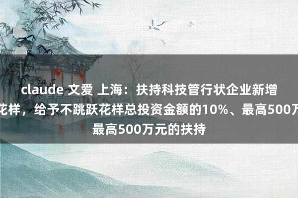 claude 文爱 上海：扶持科技管行状企业新增紧要投资花样，给予不跳跃花样总投资金额的10%、最高500万元的扶持