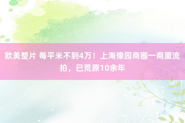 欧美整片 每平米不到4万！上海豫园商圈一商厦流拍，已荒原10余年