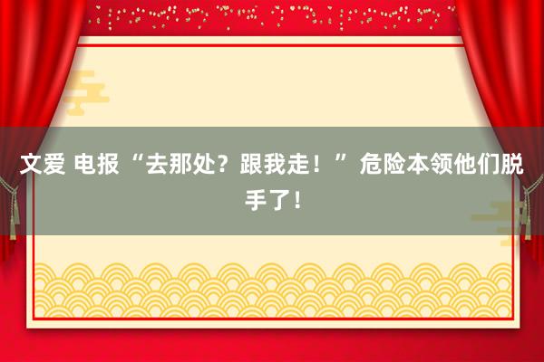 文爱 电报 “去那处？跟我走！” 危险本领他们脱手了！