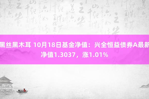 黑丝黑木耳 10月18日基金净值：兴全恒益债券A最新净值1.3037，涨1.01%