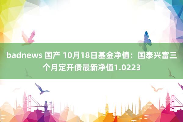 badnews 国产 10月18日基金净值：国泰兴富三个月定开债最新净值1.0223