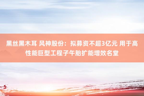 黑丝黑木耳 风神股份：拟募资不超3亿元 用于高性能巨型工程子午胎扩能增效名堂