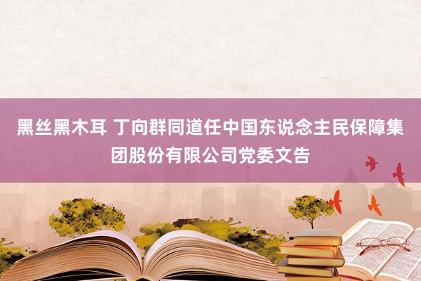 黑丝黑木耳 丁向群同道任中国东说念主民保障集团股份有限公司党委文告