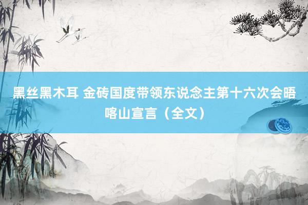 黑丝黑木耳 金砖国度带领东说念主第十六次会晤喀山宣言（全文）