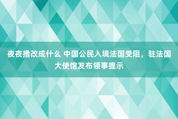 夜夜撸改成什么 中国公民入境法国受阻，驻法国大使馆发布领事提示