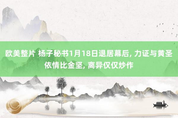 欧美整片 杨子秘书1月18日退居幕后， 力证与黄圣依情比金坚， 离异仅仅炒作