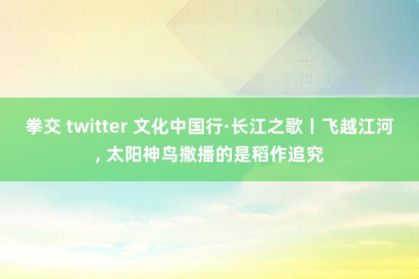 拳交 twitter 文化中国行·长江之歌丨飞越江河， 太阳神鸟撒播的是稻作追究