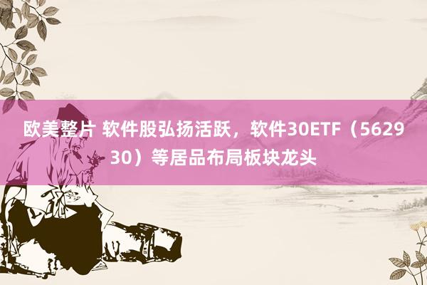 欧美整片 软件股弘扬活跃，软件30ETF（562930）等居品布局板块龙头