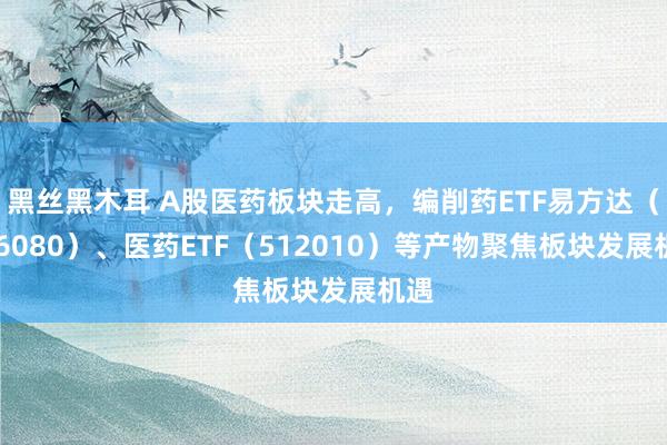 黑丝黑木耳 A股医药板块走高，编削药ETF易方达（516080）、医药ETF（512010）等产物聚焦板块发展机遇