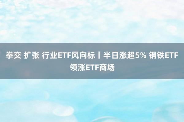 拳交 扩张 行业ETF风向标丨半日涨超5% 钢铁ETF领涨ETF商场