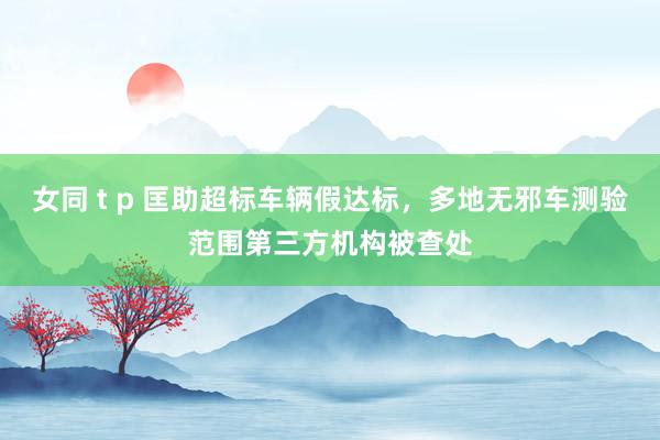 女同 t p 匡助超标车辆假达标，多地无邪车测验范围第三方机构被查处