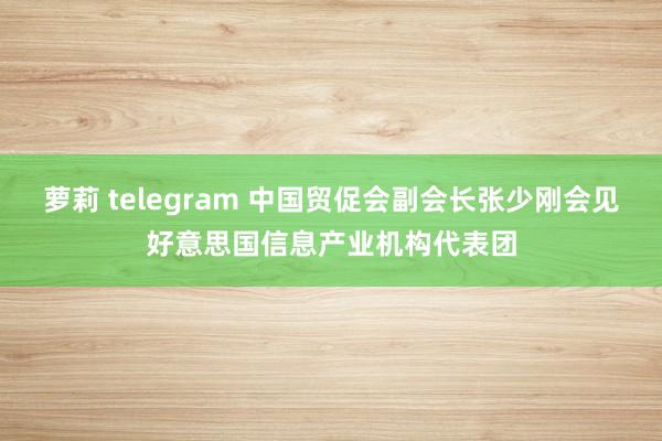 萝莉 telegram 中国贸促会副会长张少刚会见好意思国信息产业机构代表团