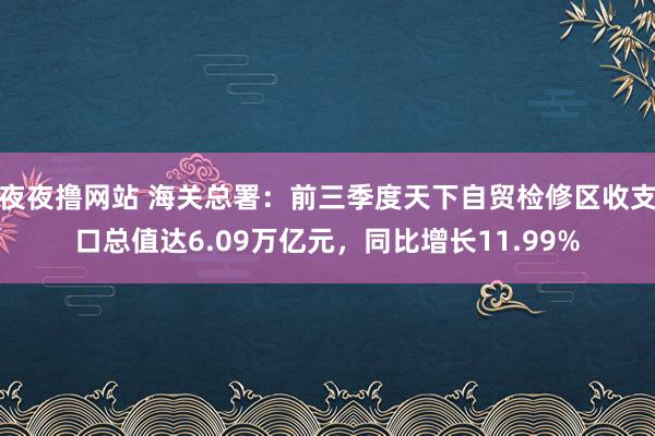 夜夜撸网站 海关总署：前三季度天下自贸检修区收支口总值达6.09万亿元，同比增长11.99%