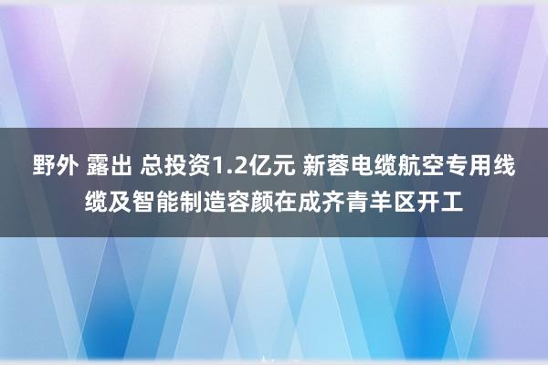 野外 露出 总投资1.2亿元 新蓉电缆航空专用线缆及智能制造容颜在成齐青羊区开工