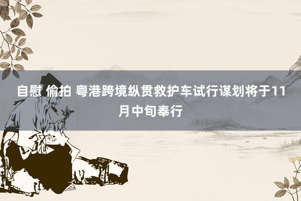 自慰 偷拍 粤港跨境纵贯救护车试行谋划将于11月中旬奉行