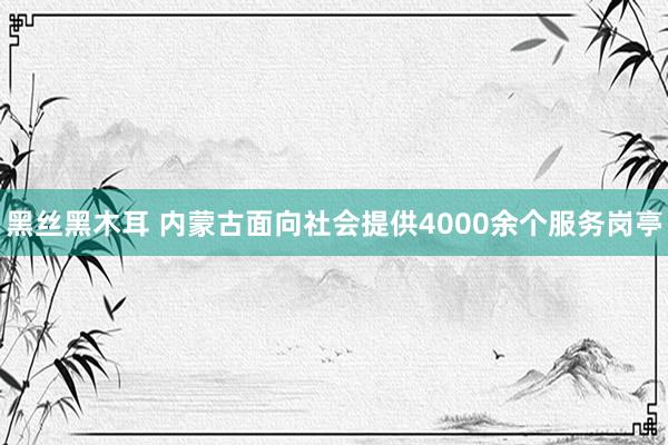 黑丝黑木耳 内蒙古面向社会提供4000余个服务岗亭