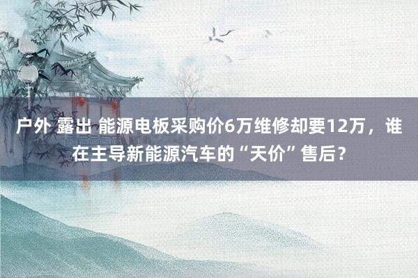 户外 露出 能源电板采购价6万维修却要12万，谁在主导新能源汽车的“天价”售后？