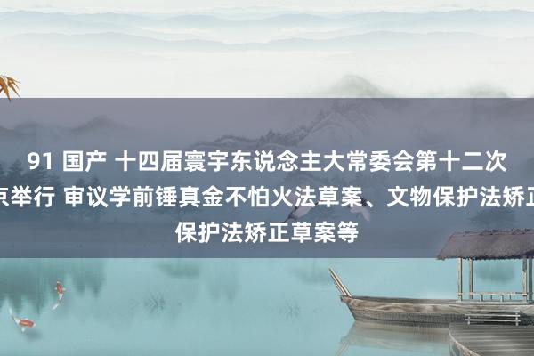 91 国产 十四届寰宇东说念主大常委会第十二次会议在京举行 审议学前锤真金不怕火法草案、文物保护法矫正草案等