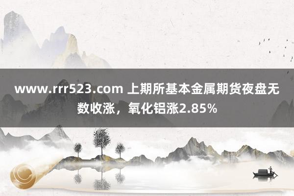 www.rrr523.com 上期所基本金属期货夜盘无数收涨，氧化铝涨2.85%