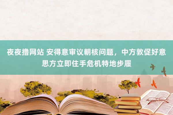 夜夜撸网站 安得意审议朝核问题，中方敦促好意思方立即住手危机特地步履